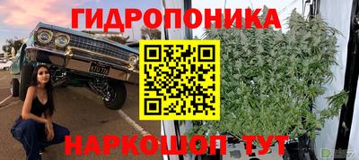 2c-b Новодвинск