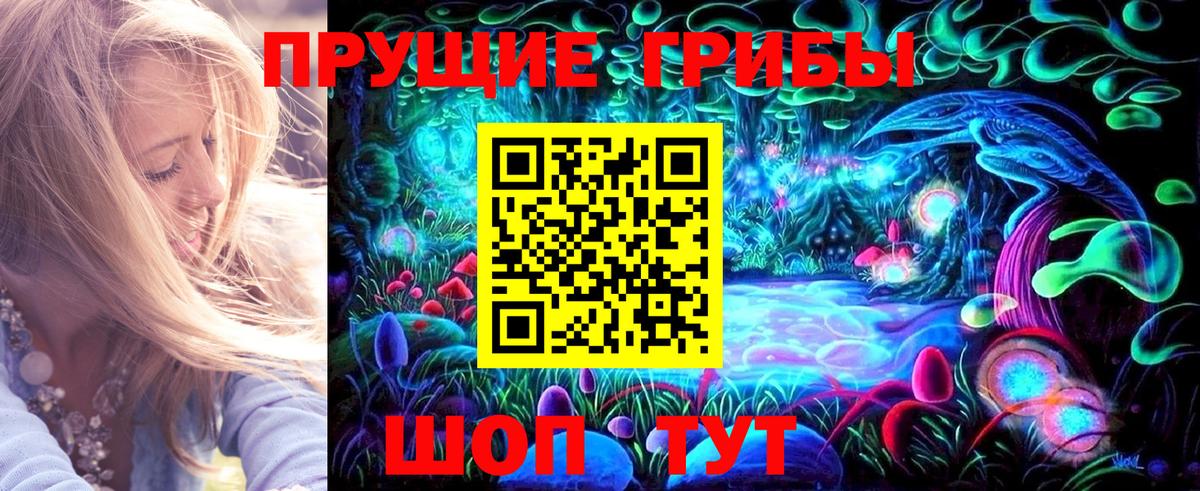 Псилоцибиновые грибы Psilocybine cubensis  Псилоцибиновые грибы мицелий  Вход с VPN  Тайшет 