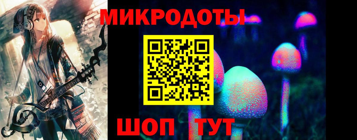 Псилоцибиновые грибы Psilocybine cubensis Тайшет